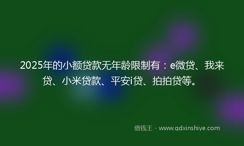 2025年的小额贷款无年龄限制有：e微贷、我来贷、小米贷款、平安i贷、拍拍贷等。