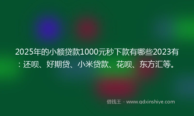 2025年的小额贷款1000元秒下款有哪些2023有：还呗、好期贷、小米贷款、花呗、东方汇等。
