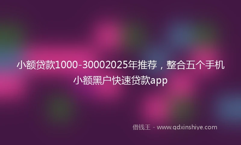 小额贷款1000-30002025年推荐，整合五个手机小额黑户快速贷款app