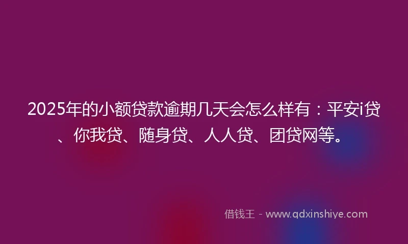 2025年的小额贷款逾期几天会怎么样有：平安i贷、你我贷、随身贷、人人贷、团贷网等。