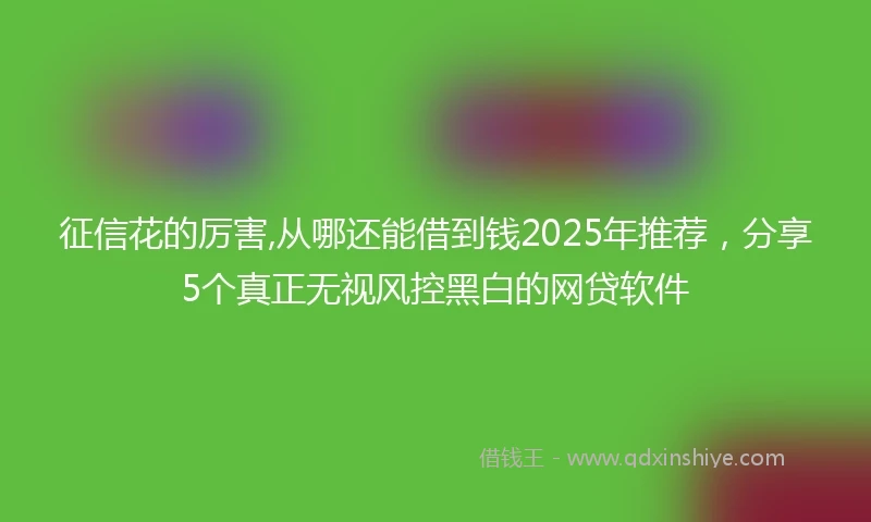 征信花的厉害,从哪还能借到钱2025年推荐，分享5个真正无视风控黑白的网贷软件
