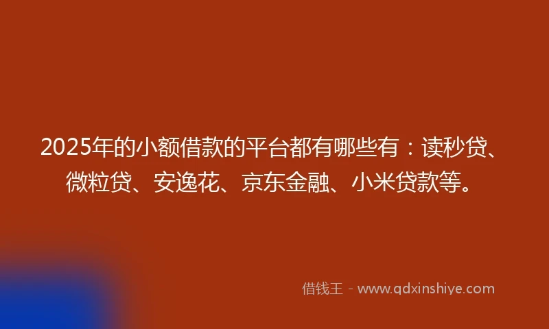 2025年的小额借款的平台都有哪些有：读秒贷、微粒贷、安逸花、京东金融、小米贷款等。
