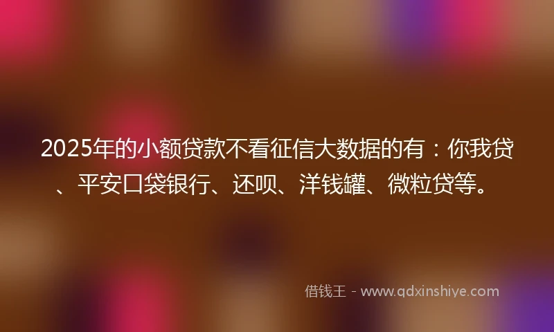 2025年的小额贷款不看征信大数据的有：你我贷、平安口袋银行、还呗、洋钱罐、微粒贷等。