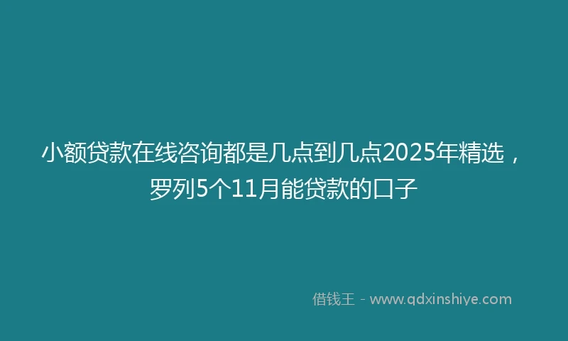 小额贷款在线咨询都是几点到几点2025年精选，罗列5个11月能贷款的口子