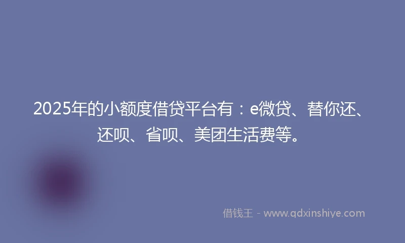 2025年的小额度借贷平台有：e微贷、替你还、还呗、省呗、美团生活费等。