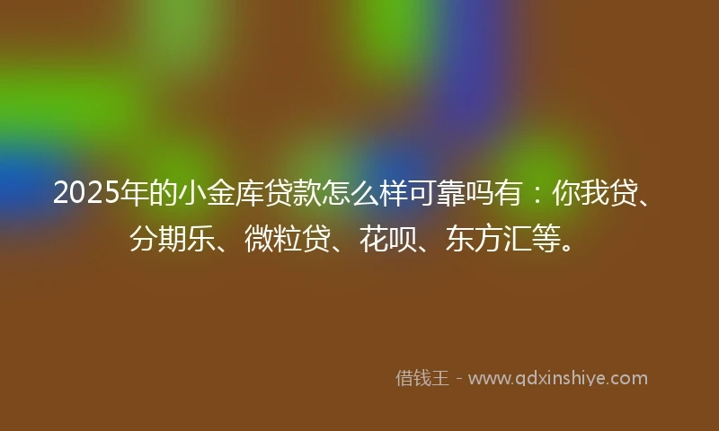 2025年的小金库贷款怎么样可靠吗有：你我贷、分期乐、微粒贷、花呗、东方汇等。