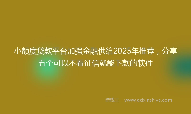 小额度贷款平台加强金融供给2025年推荐，分享五个可以不看征信就能下款的软件
