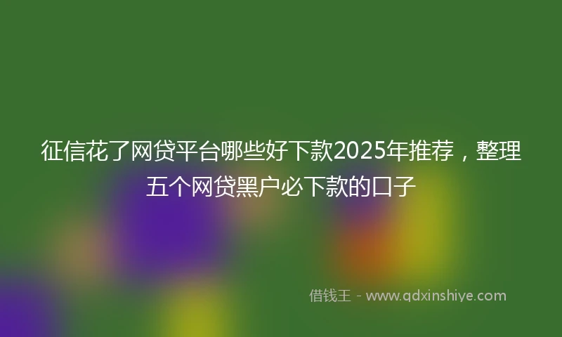 征信花了网贷平台哪些好下款2025年推荐，整理五个网贷黑户必下款的口子