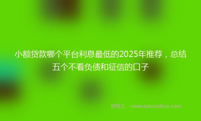 小额贷款哪个平台利息最低的2025年推荐，总结五个不看负债和征信的口子