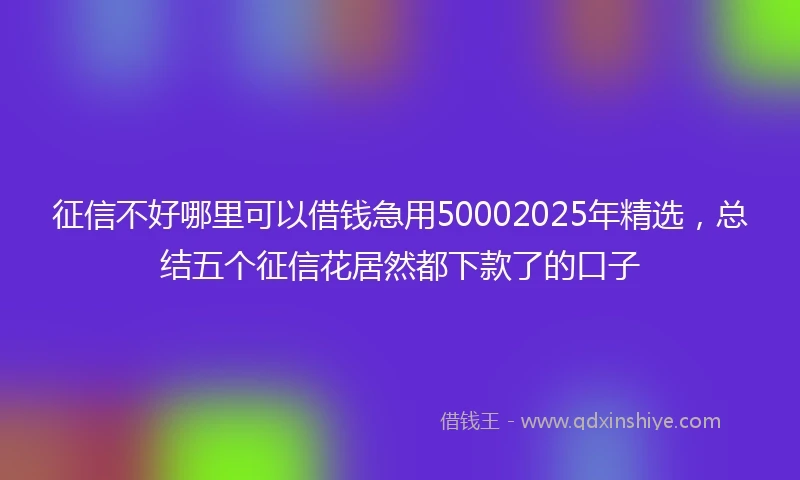 征信不好哪里可以借钱急用50002025年精选，总结五个征信花居然都下款了的口子