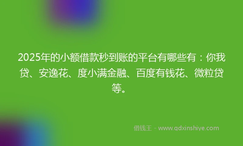 2025年的小额借款秒到账的平台有哪些有：你我贷、安逸花、度小满金融、百度有钱花、微粒贷等。