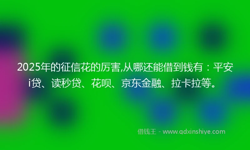 2025年的征信花的厉害,从哪还能借到钱有：平安i贷、读秒贷、花呗、京东金融、拉卡拉等。