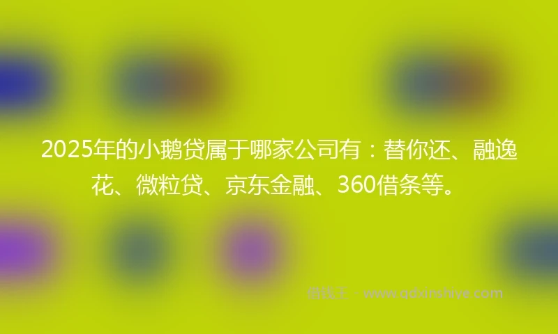 2025年的小鹅贷属于哪家公司有：替你还、融逸花、微粒贷、京东金融、360借条等。