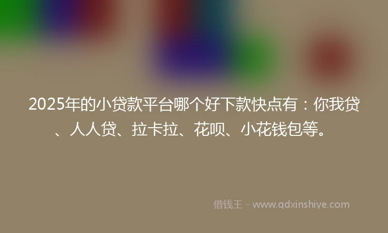 2025年的小贷款平台哪个好下款快点有：你我贷、人人贷、拉卡拉、花呗、小花钱包等。