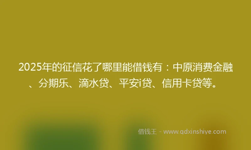 2025年的征信花了哪里能借钱有：中原消费金融、分期乐、滴水贷、平安i贷、信用卡贷等。