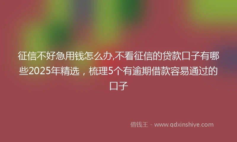 征信不好急用钱怎么办,不看征信的贷款口子有哪些2025年精选,梳理5个有逾期借款容易通过的口子