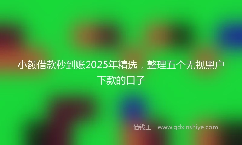 小额借款秒到账2025年精选，整理五个无视黑户下款的口子