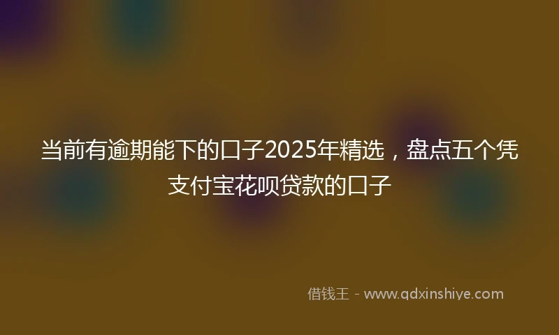 当前有逾期能下的口子2025年精选，盘点五个凭支付宝花呗贷款的口子