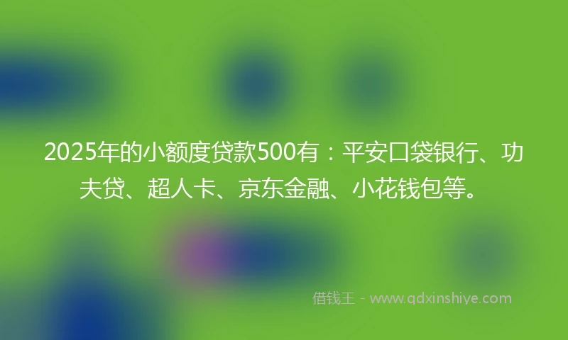 2025年的小额度贷款500有：平安口袋银行、功夫贷、超人卡、京东金融、小花钱包等。