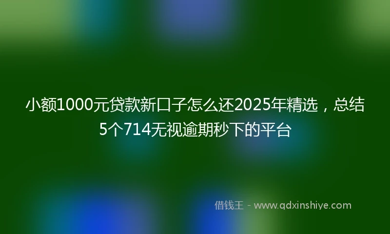 小额1000元贷款新口子怎么还2025年精选，总结5个714无视逾期秒下的平台