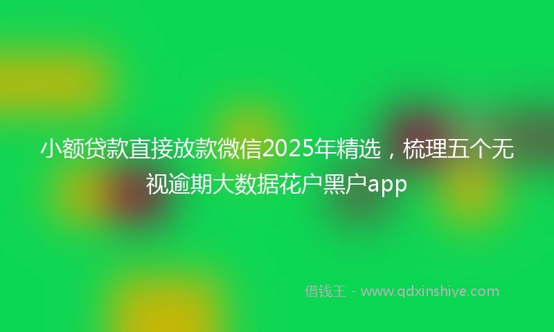 小额贷款直接放款微信2025年精选，梳理五个无视逾期大数据花户黑户app