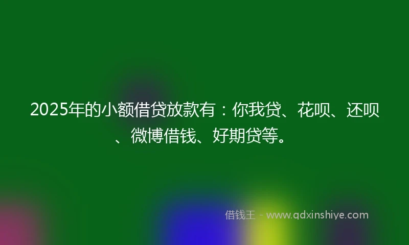 2025年的小额借贷放款有：你我贷、花呗、还呗、微博借钱、好期贷等。