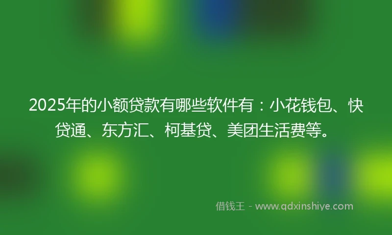 2025年的小额贷款有哪些软件有：小花钱包、快贷通、东方汇、柯基贷、美团生活费等。