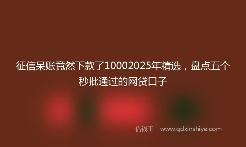 征信呆账竟然下款了10002025年精选，盘点五个秒批通过的网贷口子