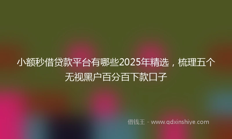 小额秒借贷款平台有哪些2025年精选，梳理五个无视黑户百分百下款口子