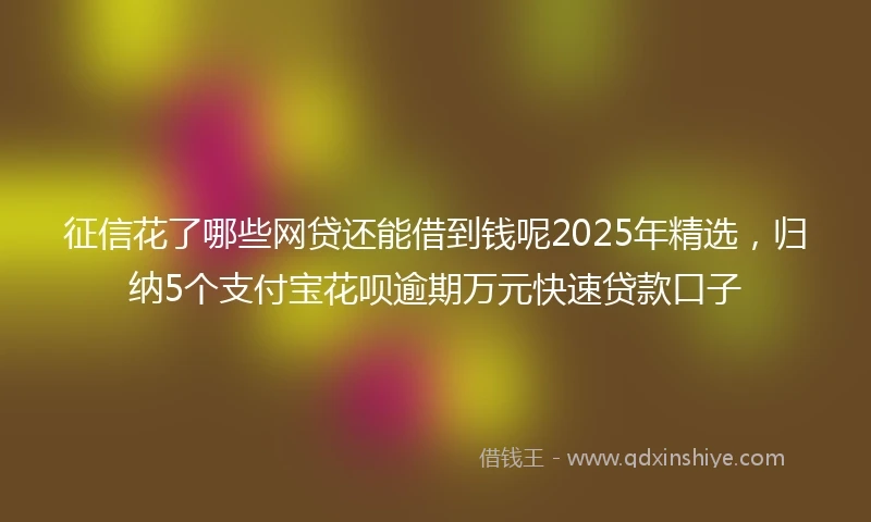 征信花了哪些网贷还能借到钱呢2025年精选，归纳5个支付宝花呗逾期万元快速贷款口子