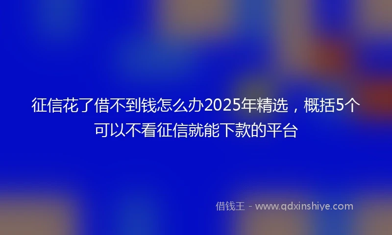 征信花了借不到钱怎么办2025年精选，概括5个可以不看征信就能下款的平台