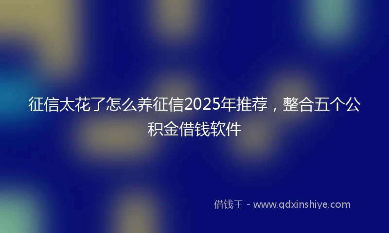 征信太花了怎么养征信2025年推荐,整合五个公积金借钱软件