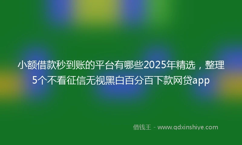 小额借款秒到账的平台有哪些2025年精选，整理5个不看征信无视黑白百分百下款网贷app