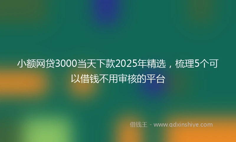 小额网贷3000当天下款2025年精选，梳理5个可以借钱不用审核的平台