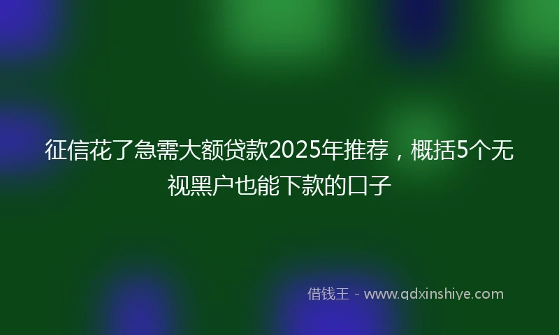 征信花了急需大额贷款2025年推荐,概括5个无视黑户也能下款的口子