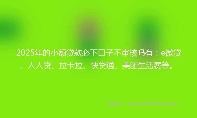 2025年的小额贷款必下口子不审核吗有：e微贷、人人贷、拉卡拉、快贷通、美团生活费等。