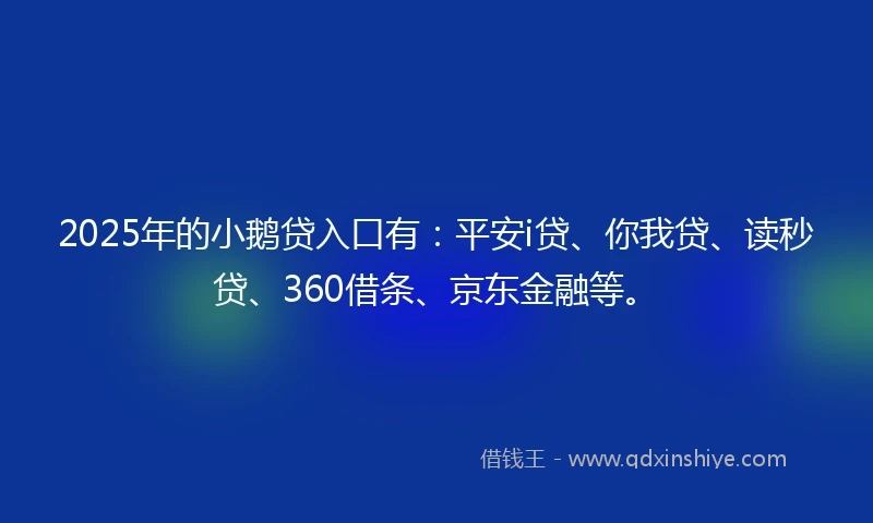 2025年的小鹅贷入口有：平安i贷、你我贷、读秒贷、360借条、京东金融等。