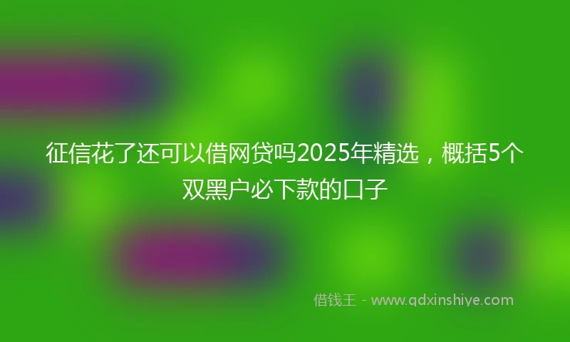 征信花了还可以借网贷吗2025年精选，概括5个双黑户必下款的口子