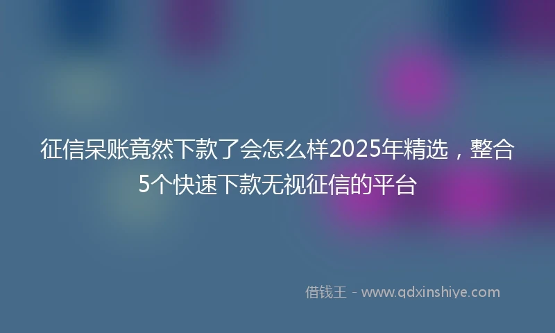 征信呆账竟然下款了会怎么样2025年精选，整合5个快速下款无视征信的平台