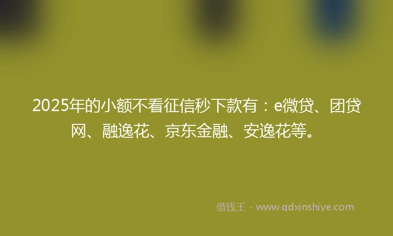 2025年的小额不看征信秒下款有：e微贷、团贷网、融逸花、京东金融、安逸花等。