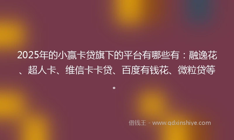 2025年的小赢卡贷旗下的平台有哪些有：融逸花、超人卡、维信卡卡贷、百度有钱花、微粒贷等。