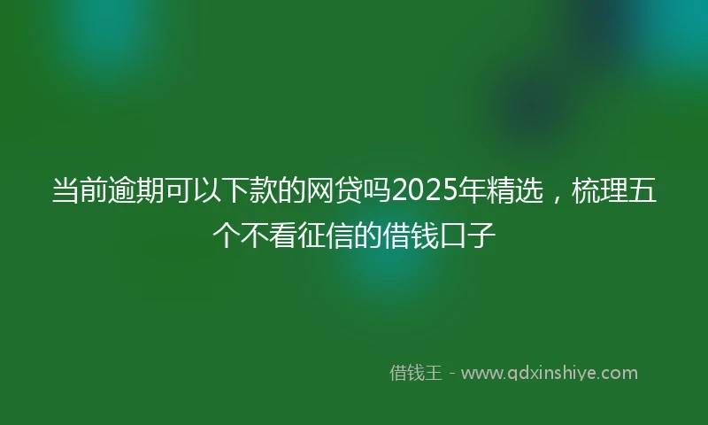 当前逾期可以下款的网贷吗2025年精选，梳理五个不看征信的借钱口子