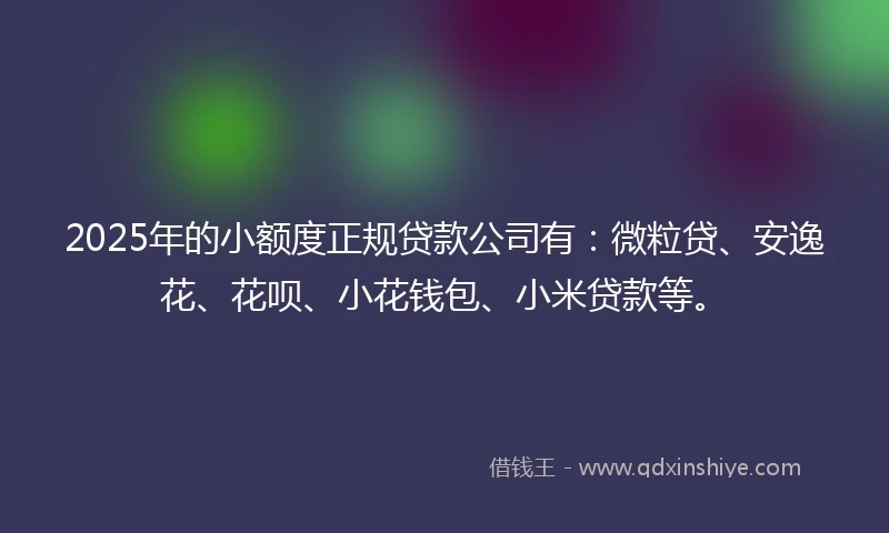 2025年的小额度正规贷款公司有：微粒贷、安逸花、花呗、小花钱包、小米贷款等。