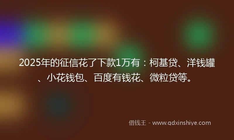 2025年的征信花了下款1万有：柯基贷、洋钱罐、小花钱包、百度有钱花、微粒贷等。
