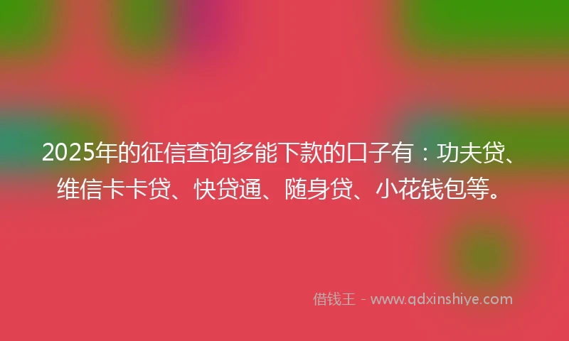2025年的征信查询多能下款的口子有：功夫贷、维信卡卡贷、快贷通、随身贷、小花钱包等。