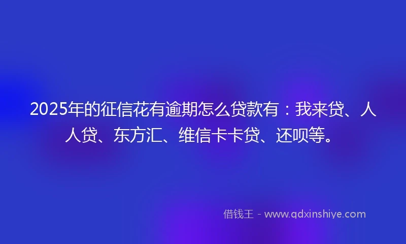 2025年的征信花有逾期怎么贷款有：我来贷、人人贷、东方汇、维信卡卡贷、还呗等。