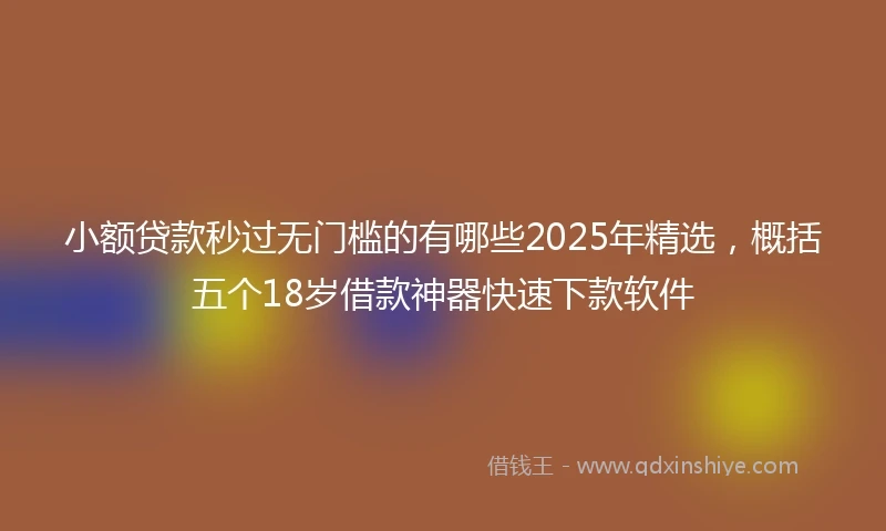 小额贷款秒过无门槛的有哪些2025年精选，概括五个18岁借款神器快速下款软件