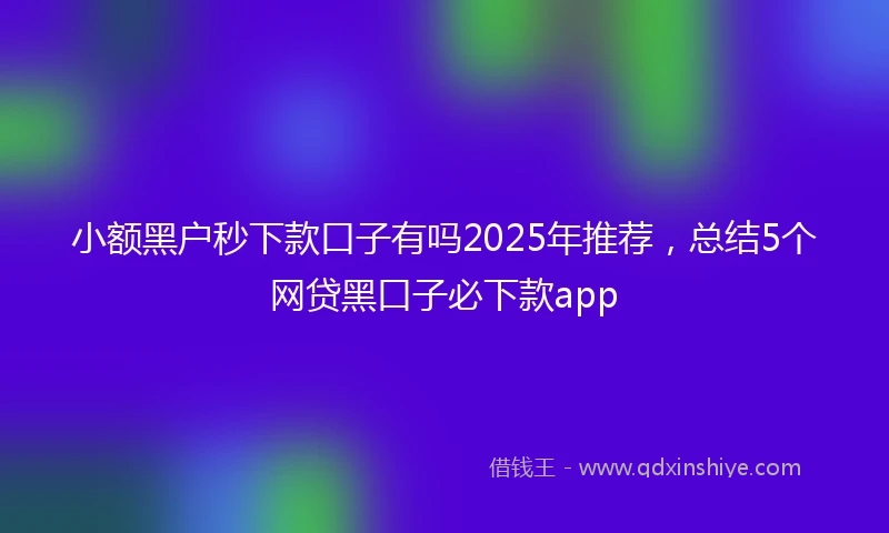 小额黑户秒下款口子有吗2025年推荐，总结5个网贷黑口子必下款app