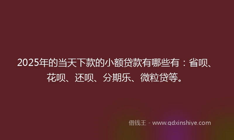 2025年的当天下款的小额贷款有哪些有：省呗、花呗、还呗、分期乐、微粒贷等。