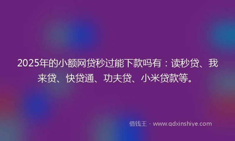 2025年的小额网贷秒过能下款吗有：读秒贷、我来贷、快贷通、功夫贷、小米贷款等。